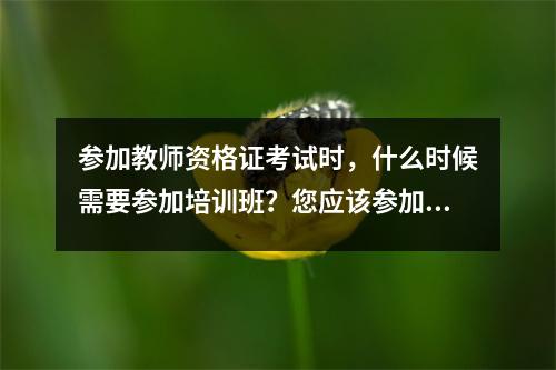 参加教师资格证考试时,什么时候需要参加培训班?您应该参加什么样的培训班?