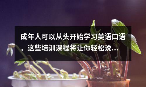 成年人可以从头开始学习英语口语。这些培训课程将让你轻松说话!