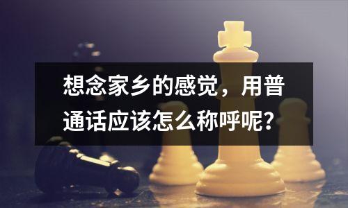 想念家乡的感觉，用普通话应该怎么称呼呢？