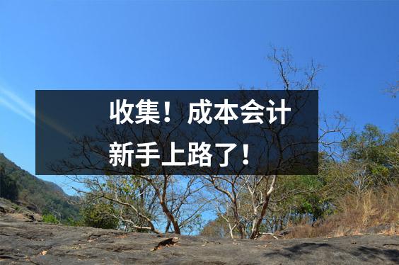 收集！成本会计新手上路了！