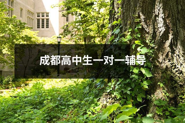 成都高中生一对一辅导