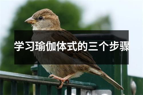 学习瑜伽体式的三个步骤