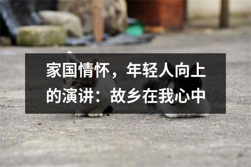 家国情怀，年轻人向上的演讲：故乡在我心中