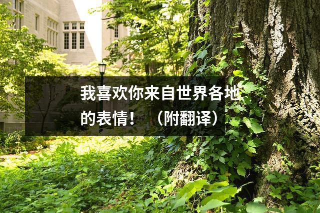 我喜欢你来自世界各地的表情！ （附翻译）