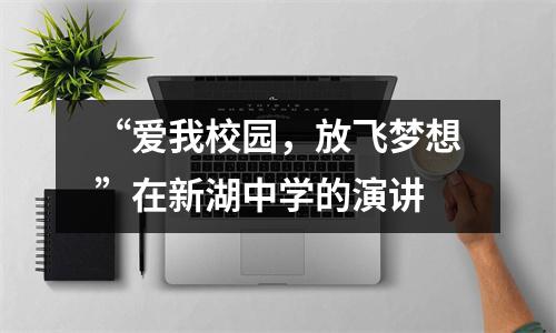 “爱我校园,放飞梦想”在新湖中学的演讲