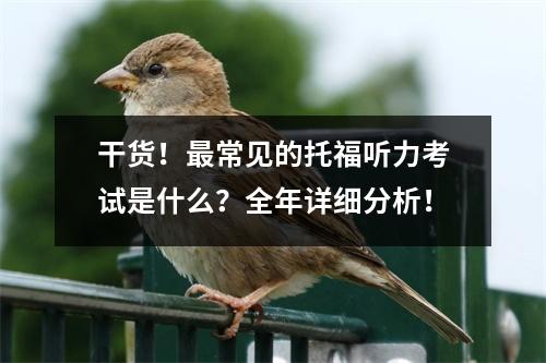 干货!最常见的托福听力考试是什么?全年详细分析!