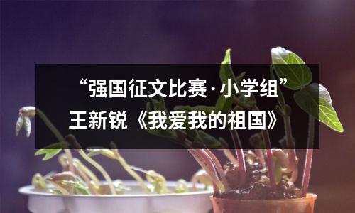 “强国征文比赛·小学组”王新锐《我爱我的祖国》