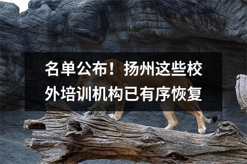 名单公布!扬州这些校外培训机构已有序恢复