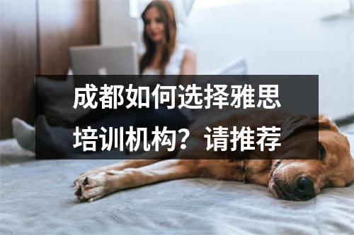 成都如何选择雅思培训机构?请推荐