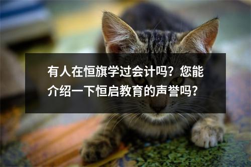 有人在恒旗学过会计吗?您能介绍一下恒启教育的声誉吗?