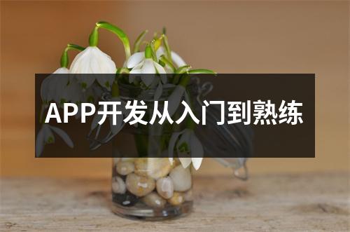 APP开发从入门到熟练