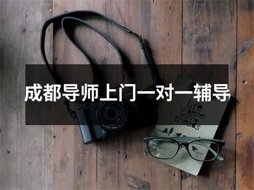 成都导师上门一对一辅导