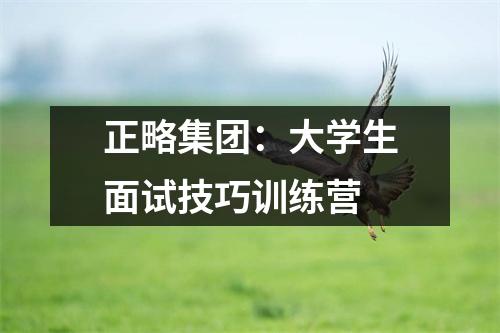 正略集团:大学生面试技巧训练营