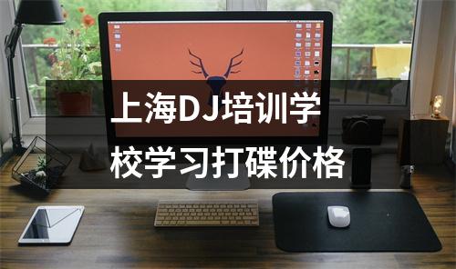 上海DJ培训学校学习打碟价格
