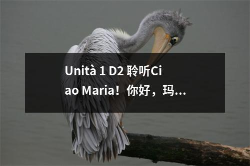 Unità 1 D2 聆听Ciao Maria!你好,玛丽亚! #新视ItalianElementary