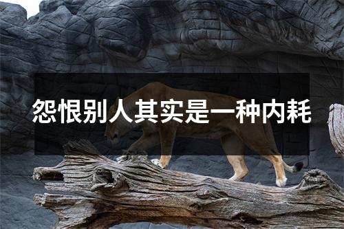 怨恨别人其实是一种内耗