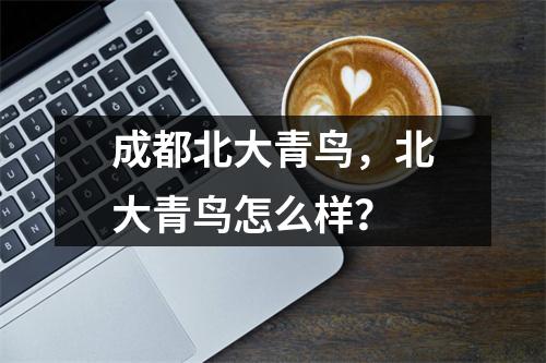 成都北大青鸟，北大青鸟怎么样？
