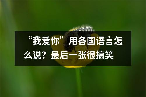 “我爱你”用各国语言怎么说?最后一张很搞笑