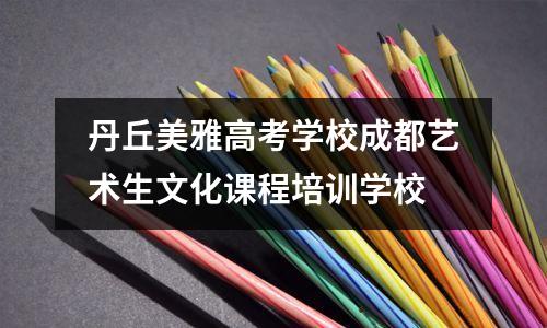 丹丘美雅高考学校成都艺术生文化课程培训学校
