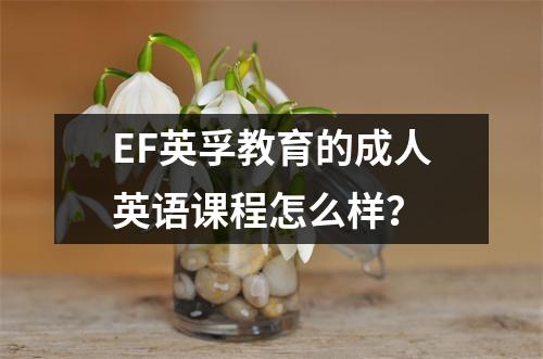 EF英孚教育的成人英语课程怎么样?