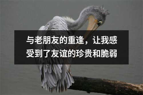 与老朋友的重逢，让我感受到了友谊的珍贵和脆弱