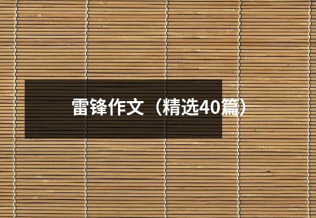雷锋作文(精选40篇)