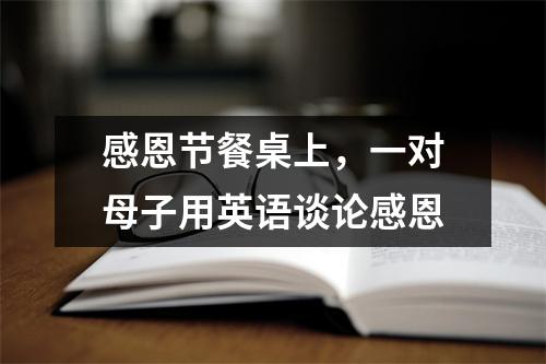 感恩节餐桌上,一对母子用英语谈论感恩