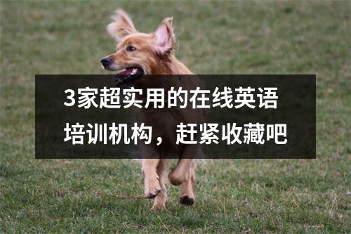 3家超实用的在线英语培训机构,赶紧收藏吧