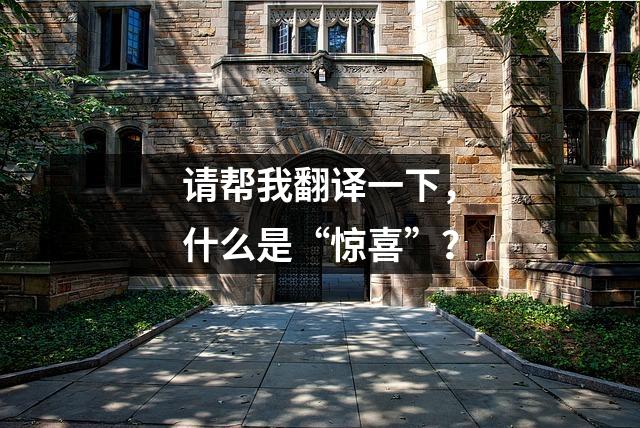 请帮我翻译一下,什么是“惊喜”?