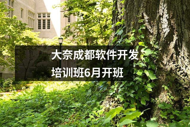 大奈成都软件开发培训班6月开班