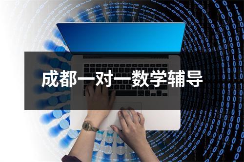 成都一对一数学辅导