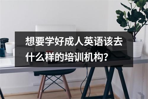 想要学好成人英语该去什么样的培训机构?