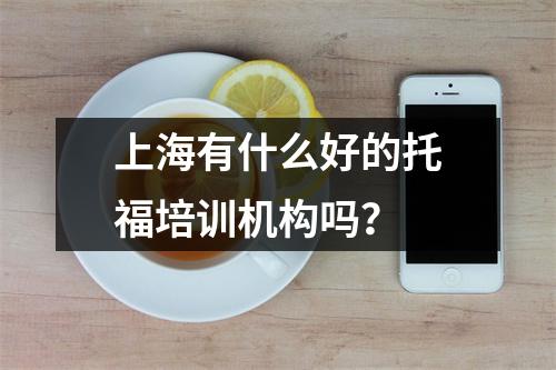 上海有什么好的托福培训机构吗?