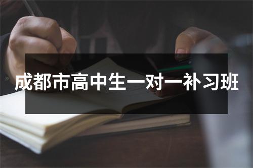 成都市高中生一对一补习班