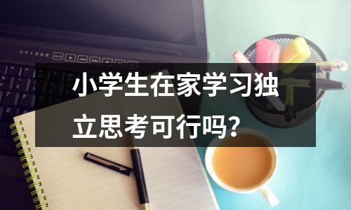 小学生在家学习独立思考可行吗?