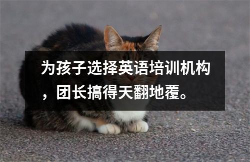 为孩子选择英语培训机构,团长搞得天翻地覆。