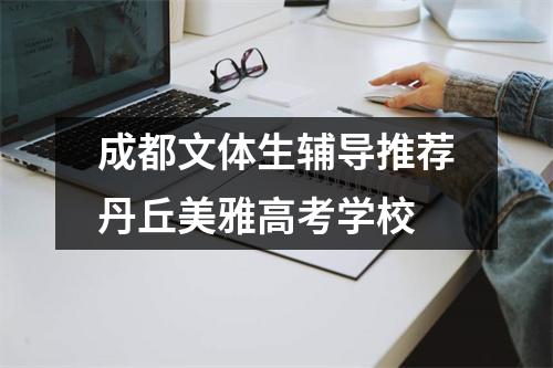 成都文体生辅导推荐丹丘美雅高考学校