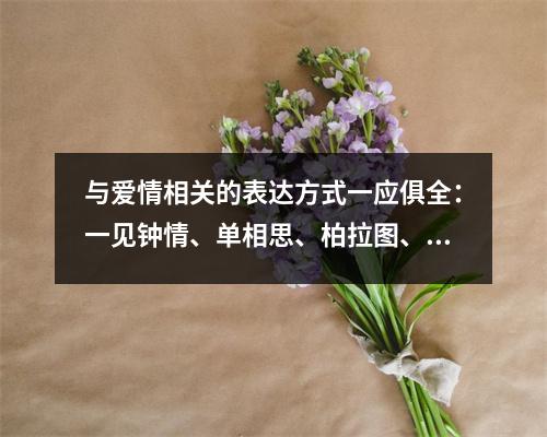 与爱情相关的表达方式一应俱全:一见钟情、单相思、柏拉图、唯一、无条件等。