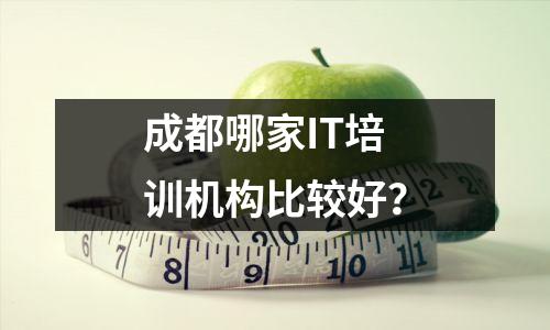 成都哪家IT培训机构比较好?