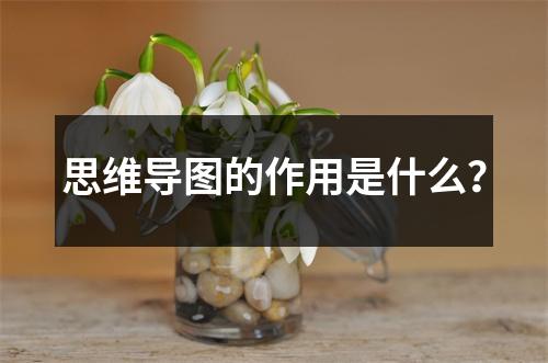 思维导图的作用是什么?