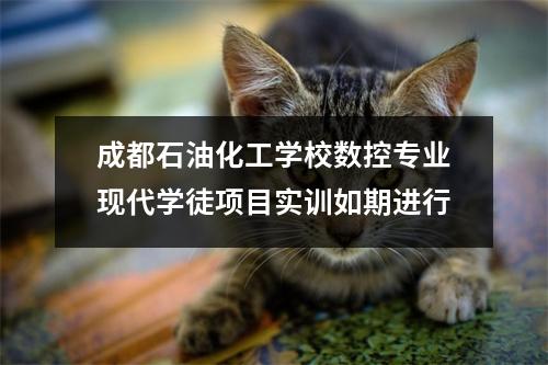 成都石油化工学校数控专业现代学徒项目实训如期进行