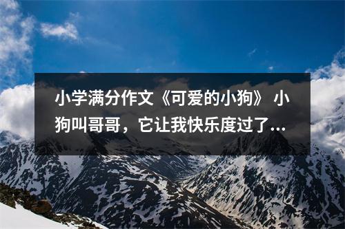 小学满分作文《可爱的小狗》 小狗叫哥哥，它让我快乐度过了整个童年