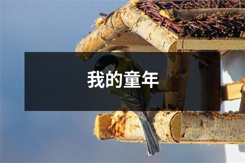 我的童年