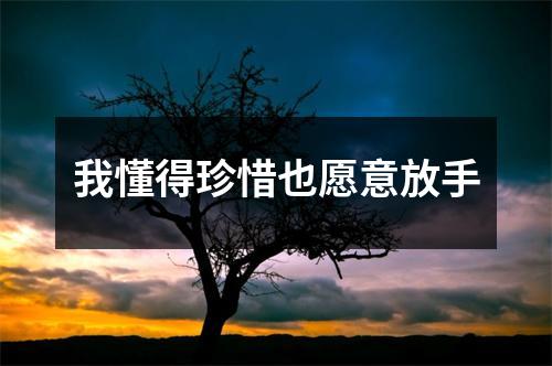 我懂得珍惜也愿意放手