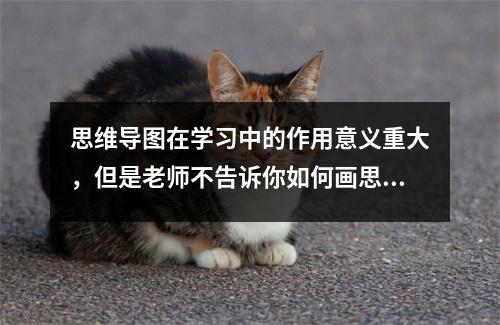 思维导图在学习中的作用意义重大，但是老师不告诉你如何画思维导图。