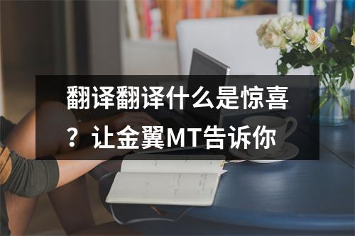 翻译翻译什么是惊喜?让金翼MT告诉你