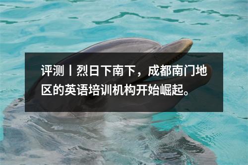 评测丨烈日下南下，成都南门地区的英语培训机构开始崛起。