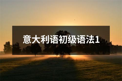 意大利语初级语法1