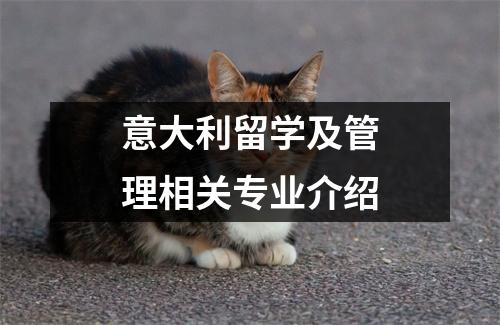 意大利留学及管理相关专业介绍