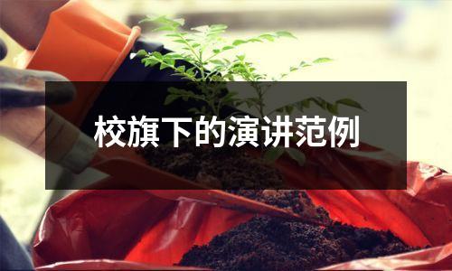 校旗下的演讲范例
